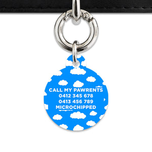 Bailey And Bone Pet ID Tags Blue Sky Pet Tag