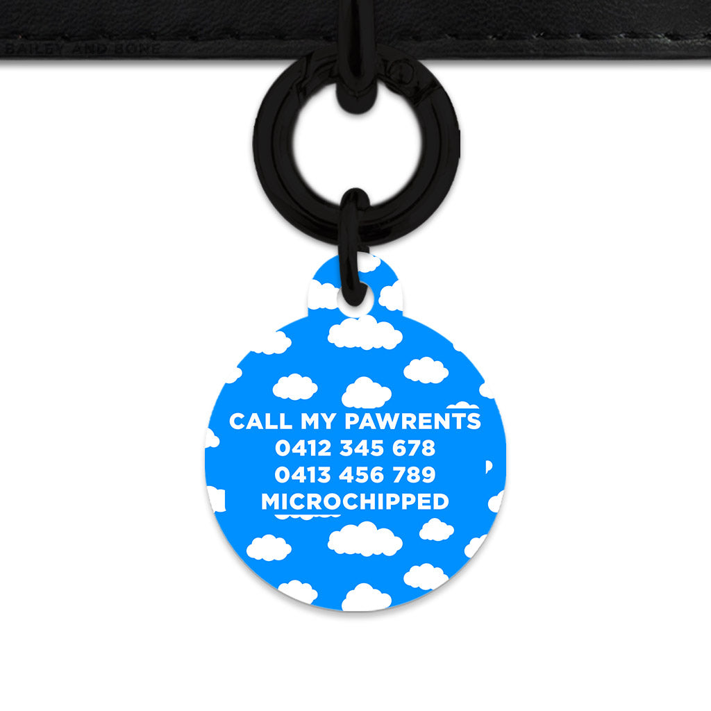 Bailey And Bone Pet ID Tags Blue Sky Pet Tag