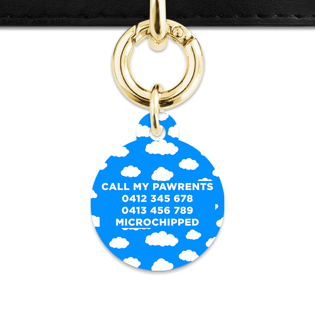 Bailey And Bone Pet ID Tags Blue Sky Pet Tag