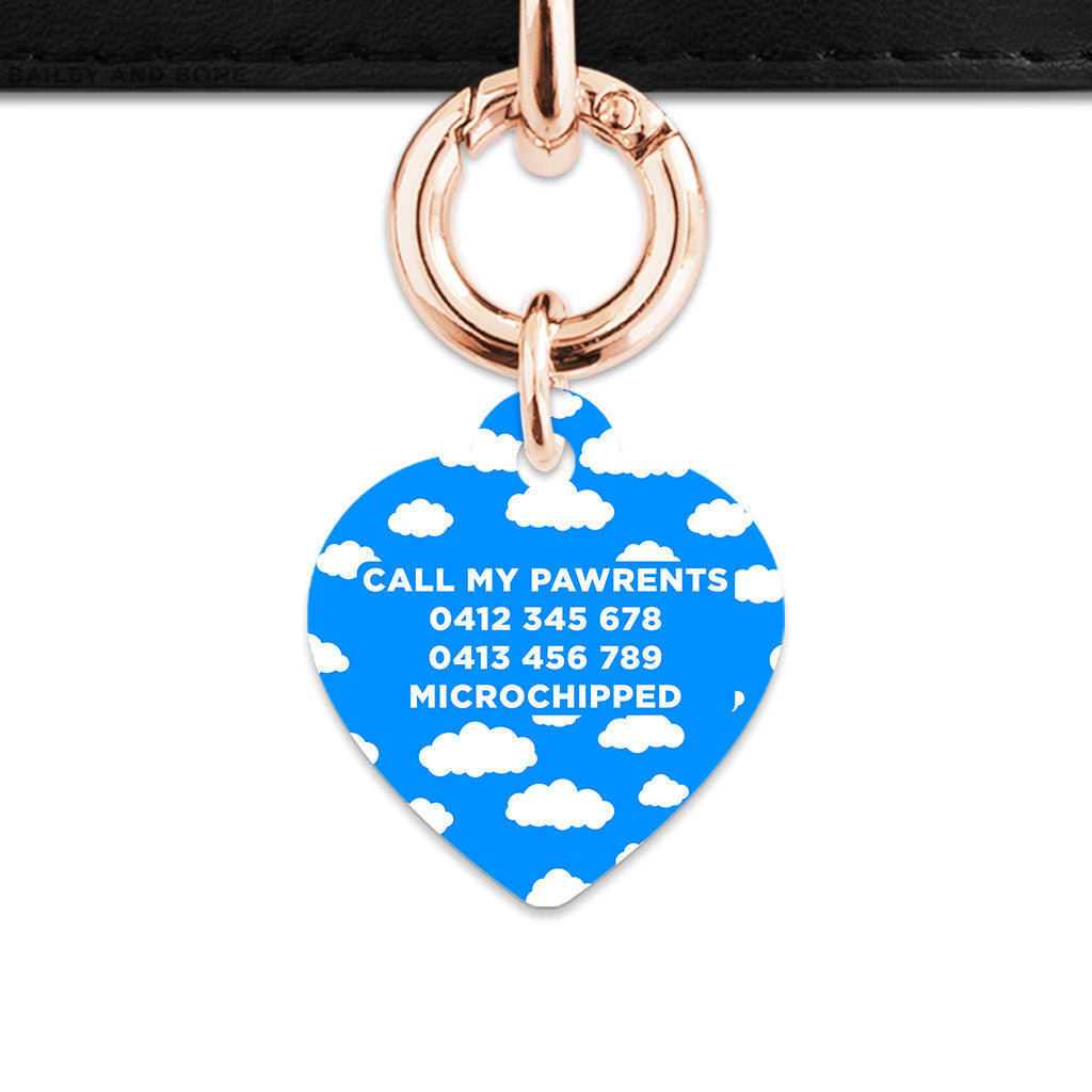 Bailey And Bone Pet ID Tags Blue Sky Pet Tag