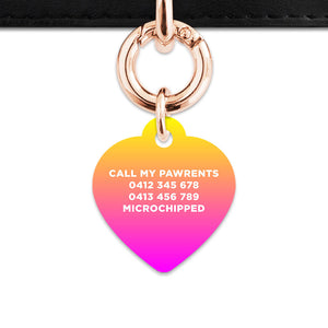 Bailey And Bone Pet ID Tags Lightning Bolts Pet Tag