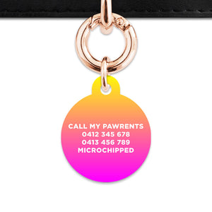 Bailey And Bone Pet ID Tags Lightning Bolts Pet Tag
