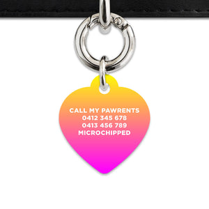 Bailey And Bone Pet ID Tags Lightning Bolts Pet Tag