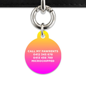 Bailey And Bone Pet ID Tags Lightning Bolts Pet Tag