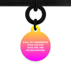 Bailey And Bone Pet ID Tags Lightning Bolts Pet Tag