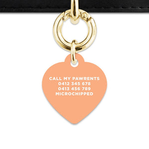 Bailey And Bone Pet ID Tags Pastel Orange Hello My Name Is Pet Tag
