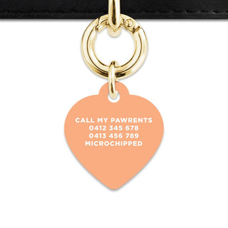 Bailey And Bone Pet ID Tags Pastel Orange Hello My Name Is Pet Tag