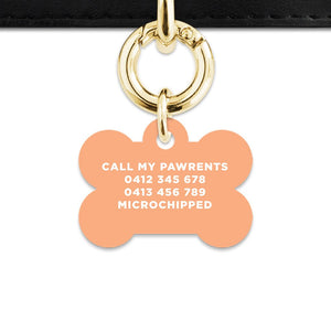 Bailey And Bone Pet ID Tags Pastel Orange Hello My Name Is Pet Tag