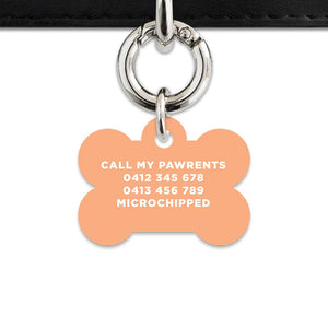 Bailey And Bone Pet ID Tags Pastel Orange Hello My Name Is Pet Tag