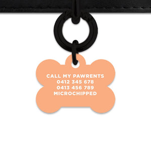 Bailey And Bone Pet ID Tags Pastel Orange Hello My Name Is Pet Tag