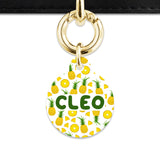 Bailey And Bone Pet ID Tags Pineapple Pattern Pet Tag