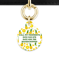 Bailey And Bone Pet ID Tags Pineapple Pattern Pet Tag