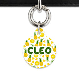 Bailey And Bone Pet ID Tags Pineapple Pattern Pet Tag