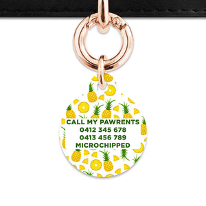 Bailey And Bone Pet ID Tags Pineapple Pattern Pet Tag
