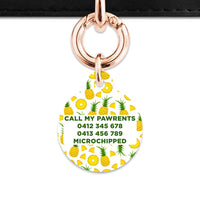 Bailey And Bone Pet ID Tags Pineapple Pattern Pet Tag