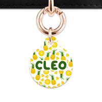 Bailey And Bone Pet ID Tags Pineapple Pattern Pet Tag