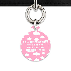 Bailey And Bone Pet ID Tags Pink Sky Pet Tag