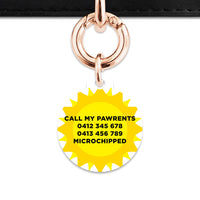 Bailey And Bone Pet ID Tags Sunny Sunshine Pet Tag