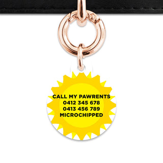 Bailey And Bone Pet ID Tags Sunny Sunshine Pet Tag