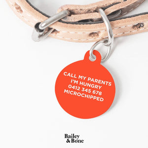 Bailey And Bone Pet Tag Black And Orange Animal Print Pet Tag