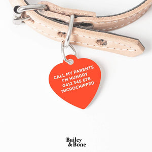 Bailey And Bone Pet Tag Black And Orange Animal Print Pet Tag