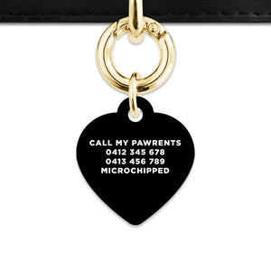 Bailey And Bone Pet Tag Black Hello My Name Is Pet Tag