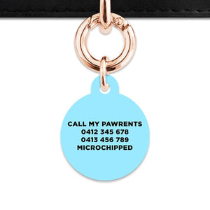 Bailey And Bone Pet Tag Blue Black And White Stripes Pet Tag
