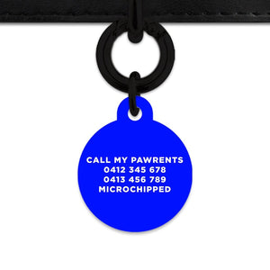 Bailey And Bone Pet Tag Blue Hello My Name Is Pet Tag