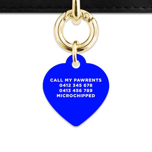 Bailey And Bone Pet Tag Blue Hello My Name Is Pet Tag