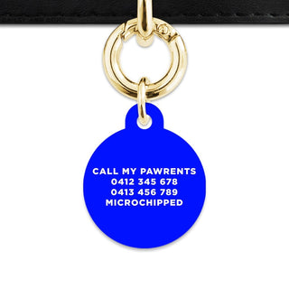 Bailey And Bone Pet Tag Blue Hello My Name Is Pet Tag