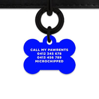 Bailey And Bone Pet Tag Blue Hello My Name Is Pet Tag