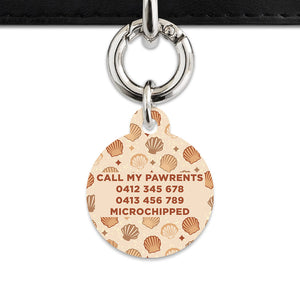 Bailey And Bone Pet Tag Boho Beige Seashells Pet Tag