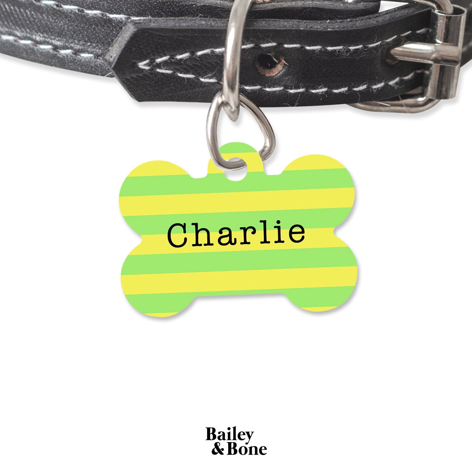 Bailey And Bone Pet Tag Bone Green And Yellow Stripes Pet Tag