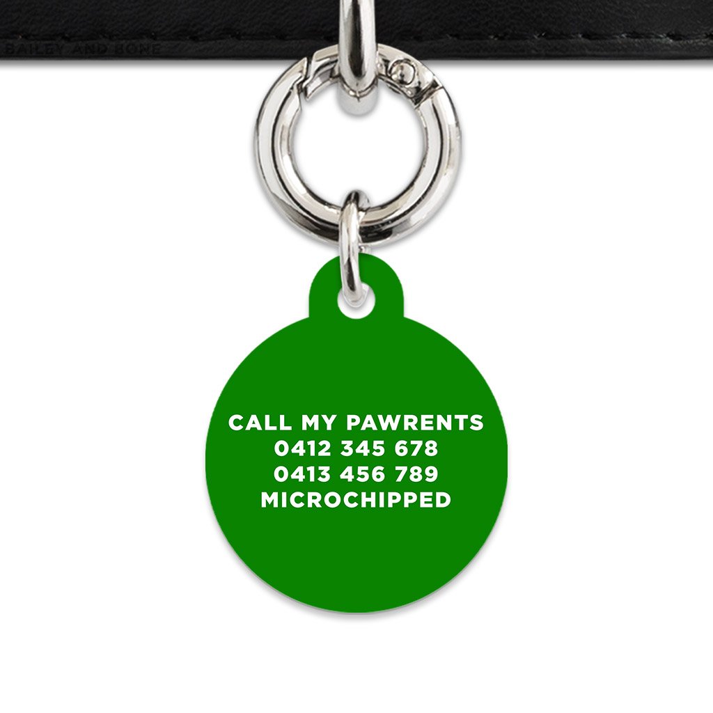 Bailey And Bone Pet Tag Dark Green Hello My Name Is Pet Tag