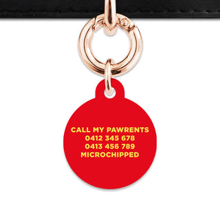 Bailey And Bone Pet Tag Flames Pet Tag