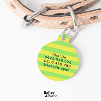 Bailey And Bone Pet Tag Green And Yellow Stripes Pet Tag
