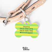 Bailey And Bone Pet Tag Green And Yellow Stripes Pet Tag