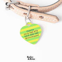 Bailey And Bone Pet Tag Green And Yellow Stripes Pet Tag