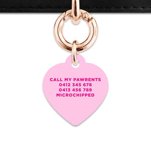 Bailey And Bone Pet Tag Light Pink Hello My Name Is Pet Tag