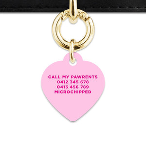 Bailey And Bone Pet Tag Light Pink Hello My Name Is Pet Tag