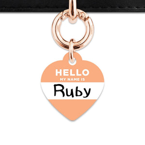 Bailey And Bone Pet Tag Pastel Orange Hello My Name Is Pet Tag