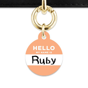 Bailey And Bone Pet Tag Pastel Orange Hello My Name Is Pet Tag
