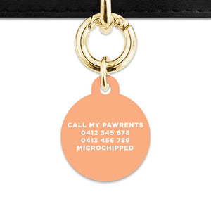 Bailey And Bone Pet Tag Pastel Orange Hello My Name Is Pet Tag