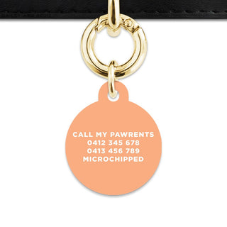 Bailey And Bone Pet Tag Pastel Orange Hello My Name Is Pet Tag