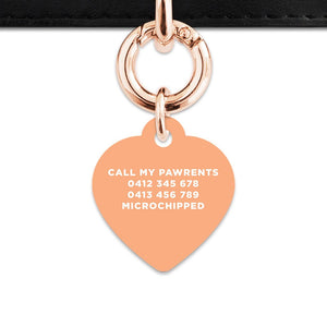 Bailey And Bone Pet Tag Pastel Orange Hello My Name Is Pet Tag