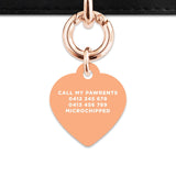 Bailey And Bone Pet Tag Pastel Orange Hello My Name Is Pet Tag