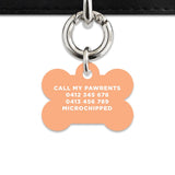 Bailey And Bone Pet Tag Pastel Orange Hello My Name Is Pet Tag