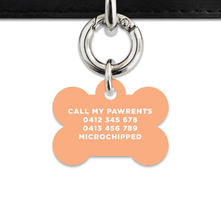 Bailey And Bone Pet Tag Pastel Orange Hello My Name Is Pet Tag