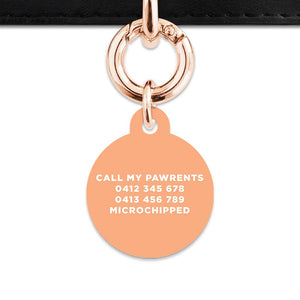 Bailey And Bone Pet Tag Pastel Orange Hello My Name Is Pet Tag