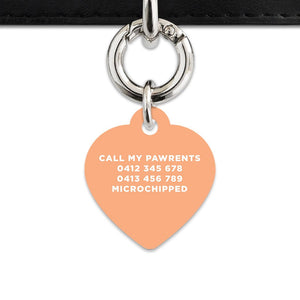Bailey And Bone Pet Tag Pastel Orange Hello My Name Is Pet Tag
